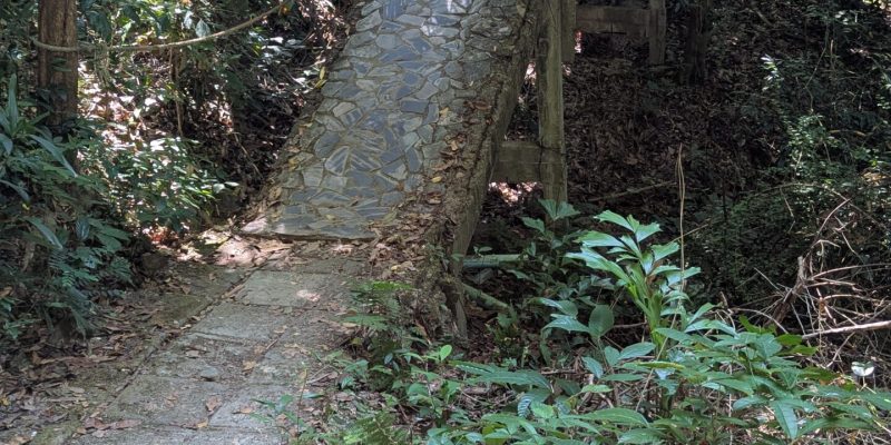 Manchmal baut das Leben Dir eine Brücke, auch wenn sie nicht nötig wäre 😊