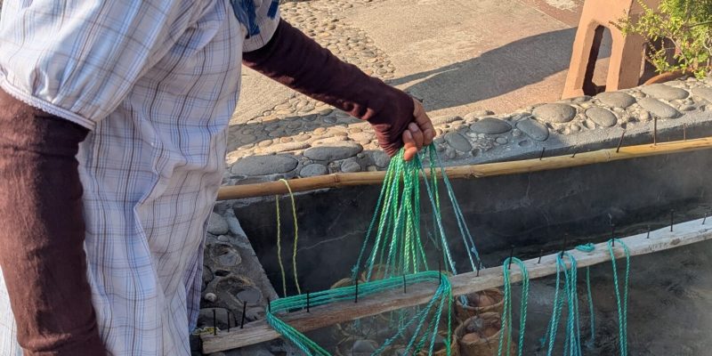 Als Attraktion werden hier Eier im heißen Quellwasser gekocht... PXL_20250215_015837467.MP