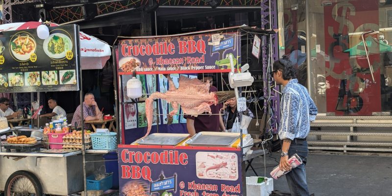 Krokodil am Stiel Krokodil am Stiel