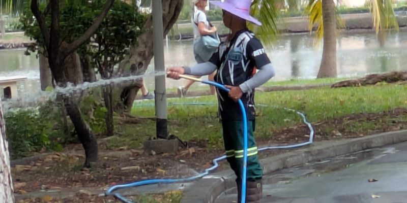 Bewässerung per Hand Lumphini-Park Wässerung per Hand