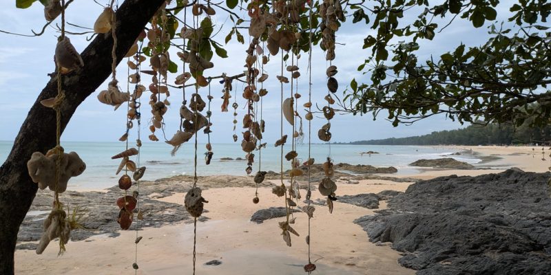 Ausblick beim Chillen am Strand wp-17409774021218578093309939692329