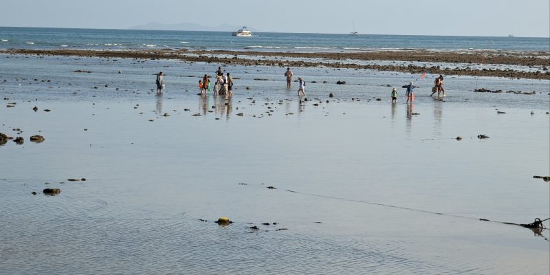 Wenn am Strand mal wieder Ebbe ist, sieht man viele Wattwanderer... wp-17409795660751786987327333624886
